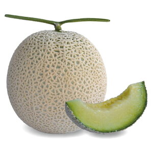 A[XF_ tӏHn  100 ߂  rZy_   ^lzyʏ5{ 5̂̓|Cg10{ΏۊOi|Cg3{Œ菤iz