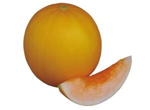 npCG[n[g  100 ߂  rZy_   ^lzyʏ5{ 5̂̓|Cg10{ΏۊOi|Cg3{Œ菤iz