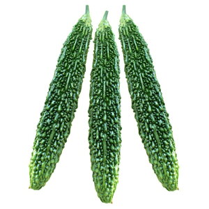  100 jKE ɂ Zyюc   ^lzyʏ5{ 5̂̓|Cg10{ΏۊOi|Cg3{Œ菤iz