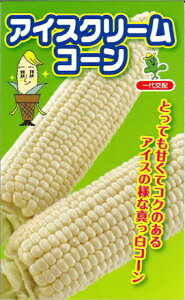 ACXN[R[ 2000 XC[gR[yюc   ^lzyʏ5{ 5̂̓|Cg10{ΏۊOi|Cg3{Œ菤iz