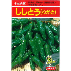 킩ƂƂ 20ml Ƃ VVgE qyюc   ^lzyʏ5{ 5̂̓|Cg10{ΏۊOi|Cg3{Œ菤iz
