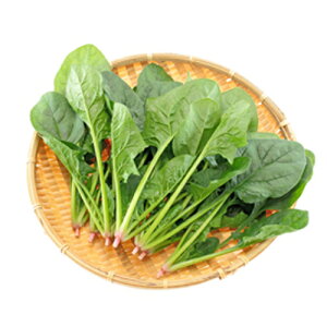 Vz L1bg ق @@ zE\E ق񂻂yюc   ^lzyʏ5{ 5̂̓|Cg10{ΏۊOi|Cg3{Œ菤iz