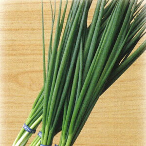 P 2dl K lM ˂yюc   ^lzyʏ5{ 5̂̓|Cg10{ΏۊOi|Cg3{Œ菤iz