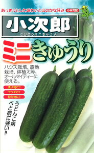 Y 100 LE イ@ӉZyюc   ^lzyʏ5{ 5̂̓|Cg10{ΏۊOi|Cg3{Œ菤iz