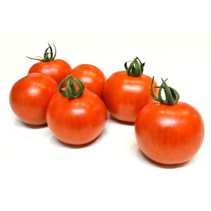 TY}I 100 g}g Ƃ܂ ׉ցyюc   ^lzyʏ5{ 5̂̓|Cg10{ΏۊOi|Cg3{Œ菤iz