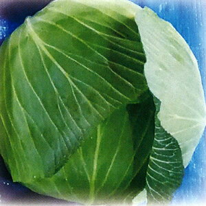 t 2000 Lxcyюc   ^lzyʏ5{ 5̂̓|Cg10{ΏۊOi|Cg3{Œ菤iz