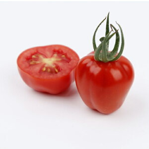 Abvx[i~jg}gj 1000 g}g Ƃ܂ ~jg}gyюc   ^lzyʏ5{ 5̂̓|Cg10{ΏۊOi|Cg3{Œ菤iz