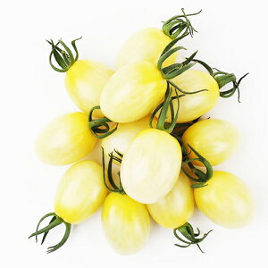 TYvzCg 1000 ~jg}g g}g Ƃ܂ ׉ցyюc   ^lzyʏ5{ 5̂̓|Cg10{ΏۊOi|Cg3{Œ菤iz