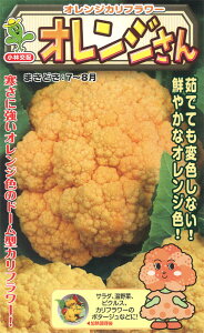 IW 1000 Jt[yюc   ^lzyʏ5{ 5̂̓|Cg10{ΏۊOi|Cg3{Œ菤iz