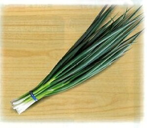 夕姫 2dl 葱 ネギ ねぎ【小林種苗 種 たね タネ】【通常5倍 5のつく日はポイント10倍対象外商品ポイント3倍固定商品】