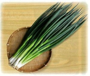 P 1L K lM ˂yюc   ^lzyʏ5{ 5̂̓|Cg10{ΏۊOi|Cg3{Œ菤iz