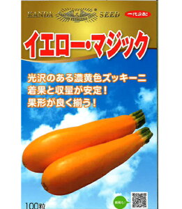 CG[E}WbN 100 YbL[j y_c_   ^l zyʏ5{ 5̂̓|Cg10{z