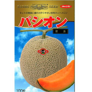 pVIH~n 100  ߂ y_c_   ^l zyʏ5{ 5̂̓|Cg10{z