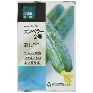 Gy[2 100 ӉZ LE イyvČ琬   ^lzyʏ5{ 5̂̓|Cg10{z