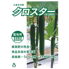 クロスター 350粒 胡瓜 キュウリ きゅうり【久留米原種育成会 種 たね タネ】【通常5倍 5のつく日はポイント10倍】
