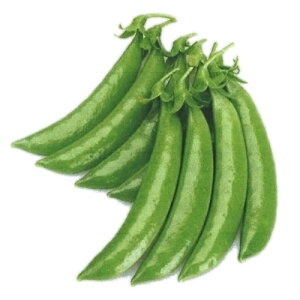 sbJsJXibv PVP 1L ₦ǂ TGhE 氓yJlRc   ^l zyʏ5{ 5̂̓|Cg10{z