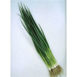 Ăǂፁ 2dl K lM ˂yJlRc   ^l zyʏ5{ 5̂̓|Cg10{z