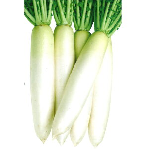 ~iKAD-226jybg5000 卪 _CR yJlRc   ^l zyʏ5{ 5̂̓|Cg10{z