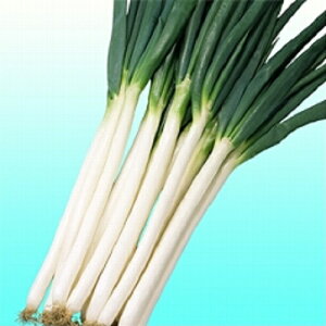  1L  K lM ˂yB݂   ^lzyʏ5{ 5̂̓|Cg10{z