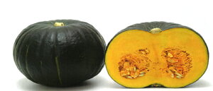 まんぞく(MKS-K1308) 500粒 南瓜 カボチャ かぼちゃ【ヴィルモランみかど 種 たね タネ】【通常5倍 5のつく日はポイント10倍】