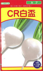 CR白盃 20ml かぶ カブ 蕪 武蔵野交配【武蔵野種苗 種 たね タネ 】【通常5倍 5のつく日はポイント10倍】