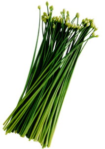 \i 2024/1ȍ~݁zjނ 20ml B j ɂyc   ^l zyʏ5{ 5̂̓|Cg10{z