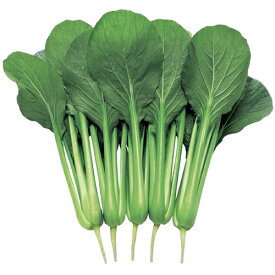 里まつり 2DL 小松菜 コマツナ こまつな 武蔵野交配【武蔵野種苗 種 たね タネ 】【通常5倍 5のつく日はポイント10倍】