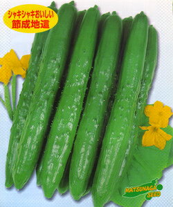 MΒn 350 イ ӉZ iz yic   ^lzyʏ5{ 5̂̓|Cg10{z