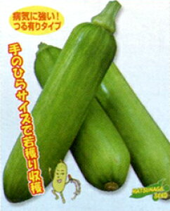 J{bL[ 100 ڂ ؍ڂ J{` Z YbL[j yic   ^lzyʏ5{ 5̂̓|Cg10{z