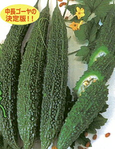 O[CVuh 2000 Z jKE i琬 yic   ^lzyʏ5{ 5̂̓|Cg10{z