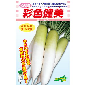 ʐF 2dl 卪 _CR  iz yic   ^lzyʏ5{ 5̂̓|Cg10{z