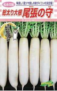 ̎ 2dl 卪 _CR  iz yic   ^lzyʏ5{ 5̂̓|Cg10{z