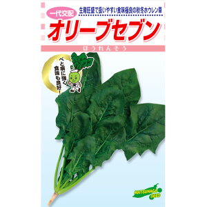 I[uZu 1L ق񂻂 zE\E z yic   ^lzyʏ5{ 5̂̓|Cg10{z