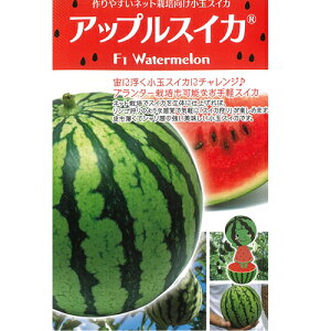 AbvXCJ 100 XCJ Z z yic   ^lzyʏ5{ 5̂̓|Cg10{z