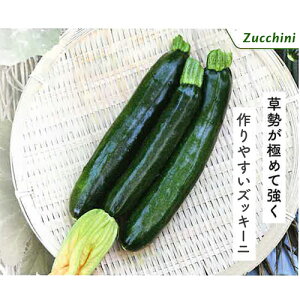 ďH悵ȂZ 100 YbL[j iz yic   ^lzyʏ5{ 5̂̓|Cg10{z