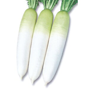 YRĂȂ 1000l 卪 _CR  Fz yێ   ^lzyʏ5{ 5̂̓|Cg10{ΏۊOi|Cg3{Œ菤iz