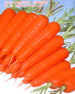 lQ gf 2dll jW ɂ񂶂 lQ Fzyێ   ^lzyʏ5{ 5̂̓|Cg10{ΏۊOi|Cg3{Œ菤iz