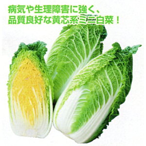 ~j50(炢) 20mll  nNTC ͂ Fz yێ   ^lzyʏ5{ 5̂̓|Cg10{ΏۊOi|Cg3{Œ菤iz