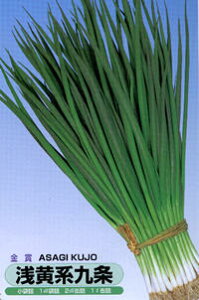  󉩌n 1Ll K lM ˂yێ   ^lzyʏ5{ 5̂̓|Cg10{ΏۊOi|Cg3{Œ菤iz