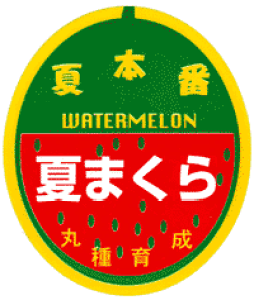 Ă܂ V[ 1000 XCJ  Zyێ   ^lzyʏ5{ 5̂̓|Cg10{ΏۊOi|Cg3{Œ菤iz