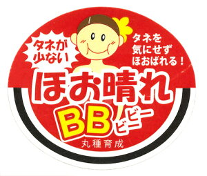 قBB 1000 XCJ  Zyێ   ^lzyʏ5{ 5̂̓|Cg10{ΏۊOi|Cg3{Œ菤iz