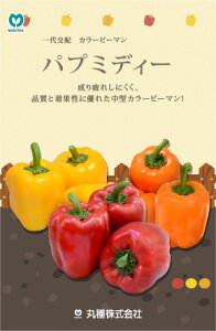 pv~fB[IW 100 s[} ҁ[܂ z@yێ   ^lzyʏ5{ 5̂̓|Cg10{ΏۊOi|Cg3{Œ菤iz