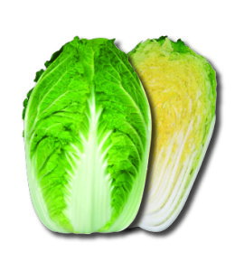 ĉ75 20ml  nNTC ͂ Fz yێ   ^lzyʏ5{ 5̂̓|Cg10{ΏۊOi|Cg3{Œ菤iz