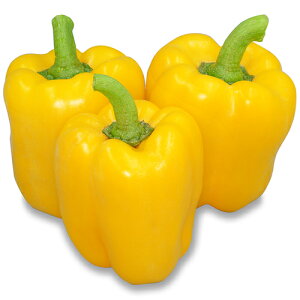 pv^tlXG 100 s[} pvJ J[s[} z yێ   ^lzyʏ5{ 5̂̓|Cg10{ΏۊOi|Cg3{Œ菤iz