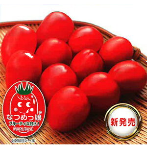 Ȃ߂RNXs[ 500 g}g Ƃ܂ ׉ Fz yێ   ^lzyʏ5{ 5̂̓|Cg10{ΏۊOi|Cg3{Œ菤iz