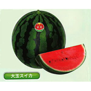 h 200 XCJ  Zyێ   ^lzyʏ5{ 5̂̓|Cg10{ΏۊOi|Cg3{Œ菤iz
