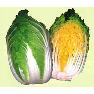 Ăĉ 20ml  nNTC ͂ Fz yێ   ^lzyʏ5{ 5̂̓|Cg10{ΏۊOi|Cg3{Œ菤iz