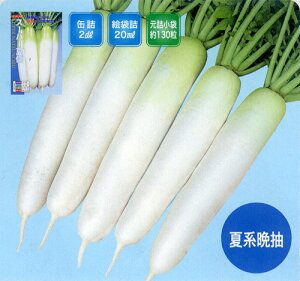 *X[p[ĐM 3LR[g5000 卪 _CR yig   ^lzyʏ5{ 5̂̓|Cg10{z