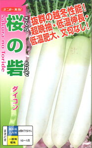̍ 3LR[g5000 卪 _CR yig   ^lzyʏ5{ 5̂̓|Cg10{z