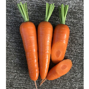 y|Cg5{ 5̂10{zG NCA-38 R[g 1 jW ɂ񂶂 lQyig   ^lz